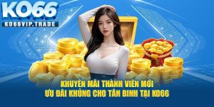 Khuyến mãi thành viên mới